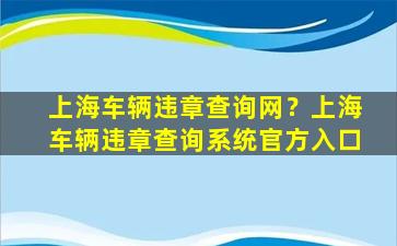 上海车辆违章查询网？上海车辆违章查询系统官方入口