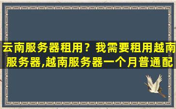 云南服务器租用？我需要租用越南服务器,越南服务器一个月普通配置大概*