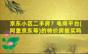 京东小区二手房？电商平台(阿里京东等)的特价房能买吗