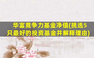 华富竟争力基金净值(挑选5只最好的投资基金并解释理由)