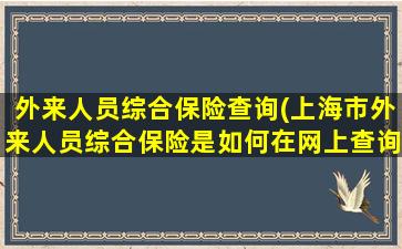 外来人员综合保险查询(上海市外来人员综合保险是如何在网上查询的)