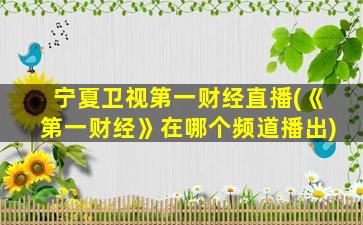宁夏卫视第一财经直播(《第一财经》在哪个频道播出)