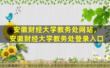 安徽财经大学教务处网站，安徽财经大学教务处登录入口