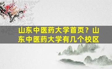 山东中医*大学首页？山东中医*大学有几个校区