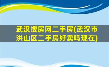 武汉搜房网二手房(武汉市洪山区二手房好卖吗现在)