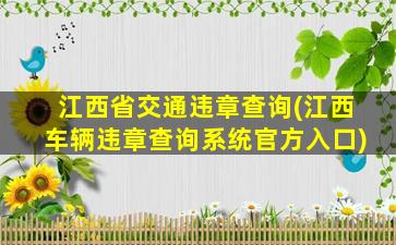 江西省交通违章查询(江西车辆违章查询系统官方入口)