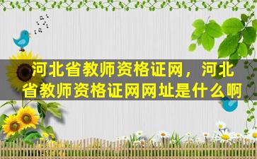 河北省教师资格证网，河北省教师资格证网网址是什么啊