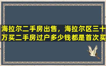 海拉尔二手房*，海拉尔区三十万买二手房过户*都是首次买卖