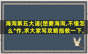 海淘第五大道(想要海淘,不懂怎么*作,求大家写攻略指教一下,谢谢!)
