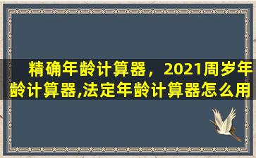 精确年龄计算器，2021周岁年龄计算器,法定年龄计算器怎么用