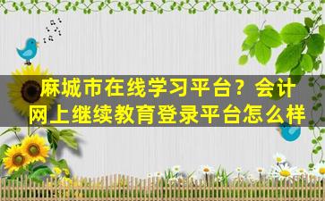 麻城市在线学习平台？会计网上继续教育登录平台怎么样